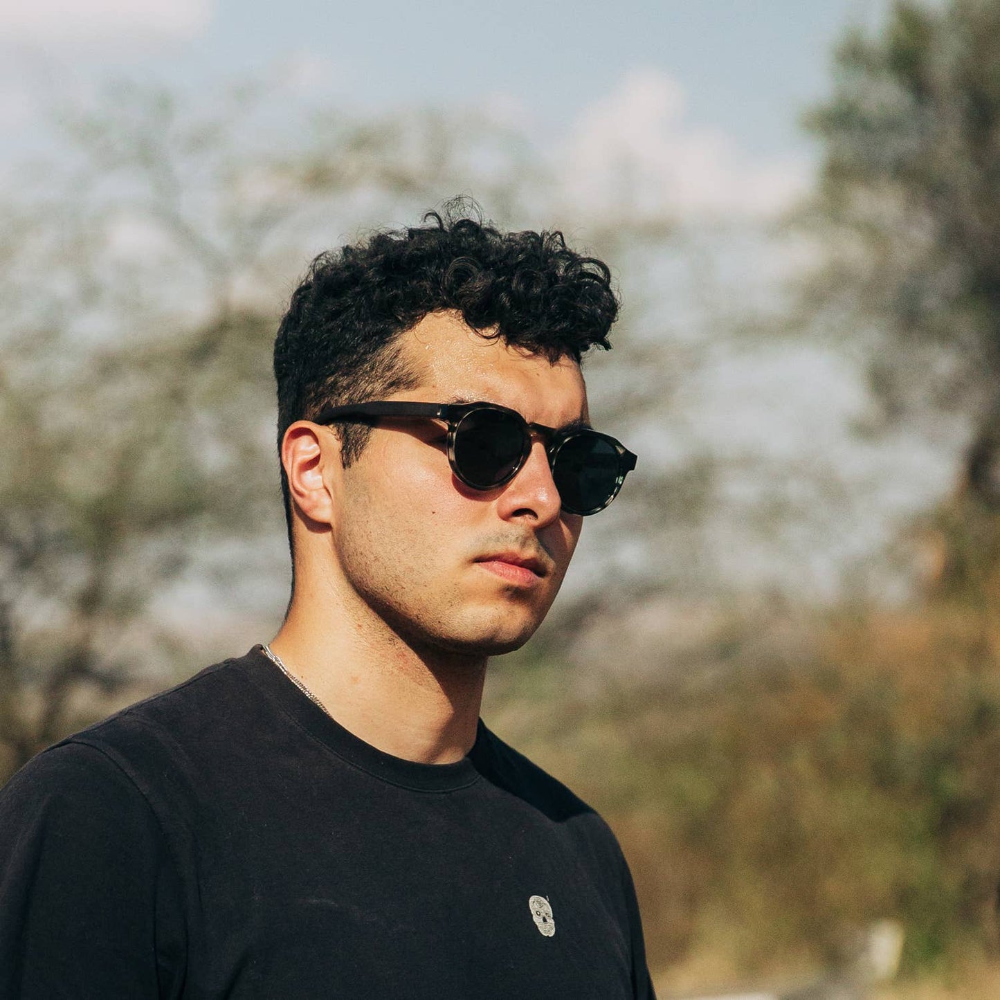 Ebony Panto Sunglasses