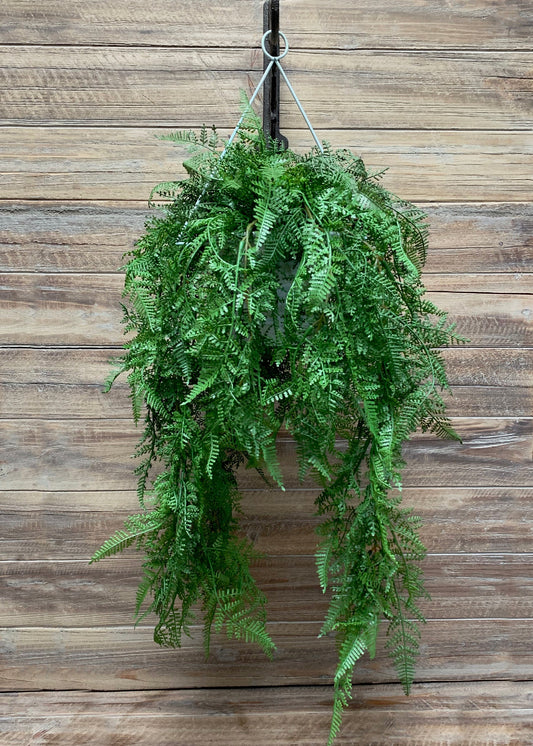 Lace Fern Hanging Basket