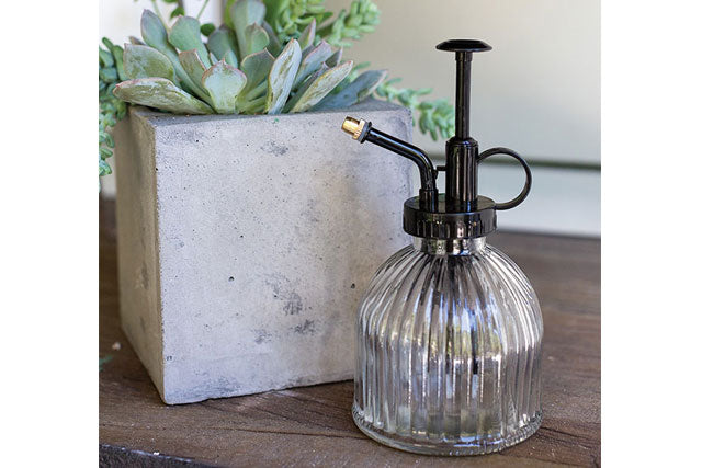 Carlise Plant Mister