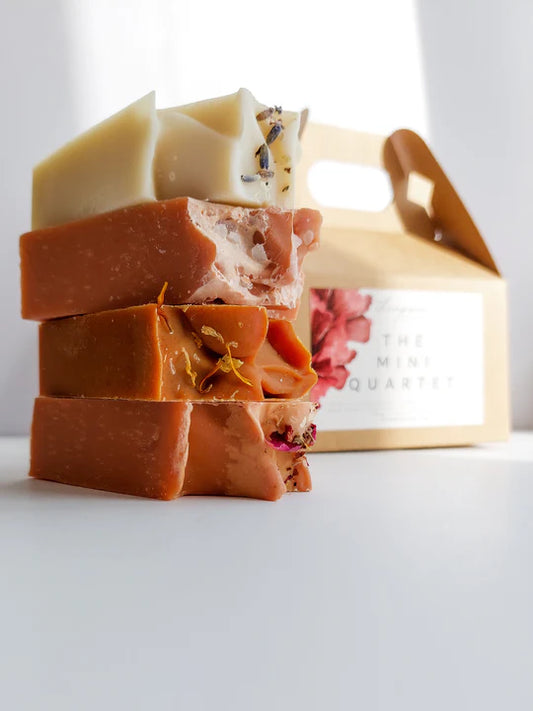 The Mini Quartet Box