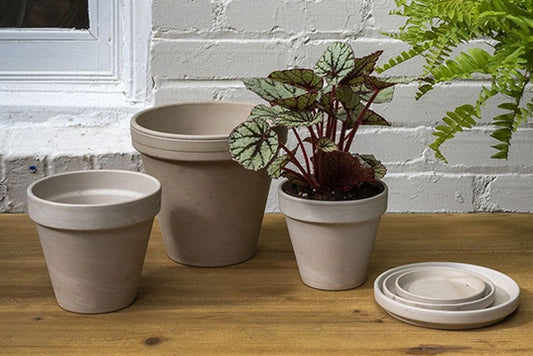 Apollo Clay Planters