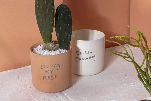 Honesty Pot