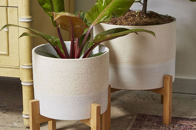 Calvia Pot with Stand