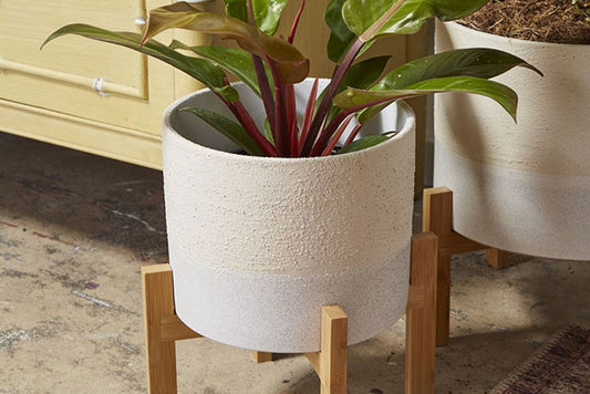 Calvia Pot with Stand