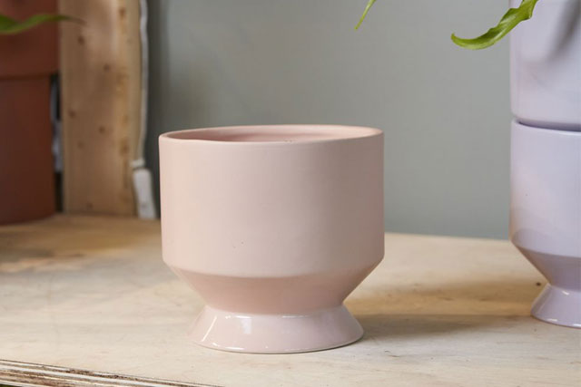 Pasadena Pot
