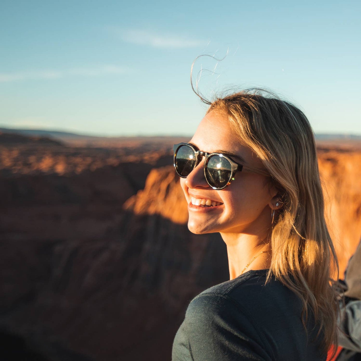 Walnut Tortoise Panto Sunglasses