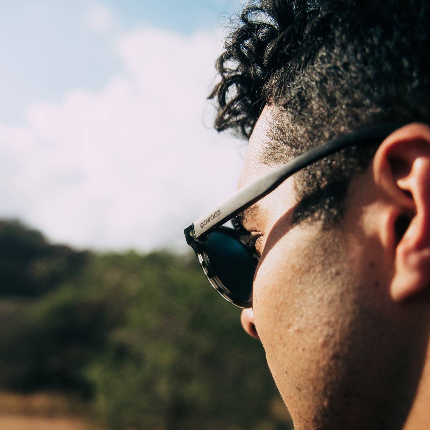 Ebony Panto Sunglasses