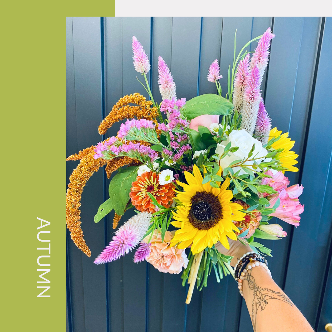 Forget-me-not Floral Subscription