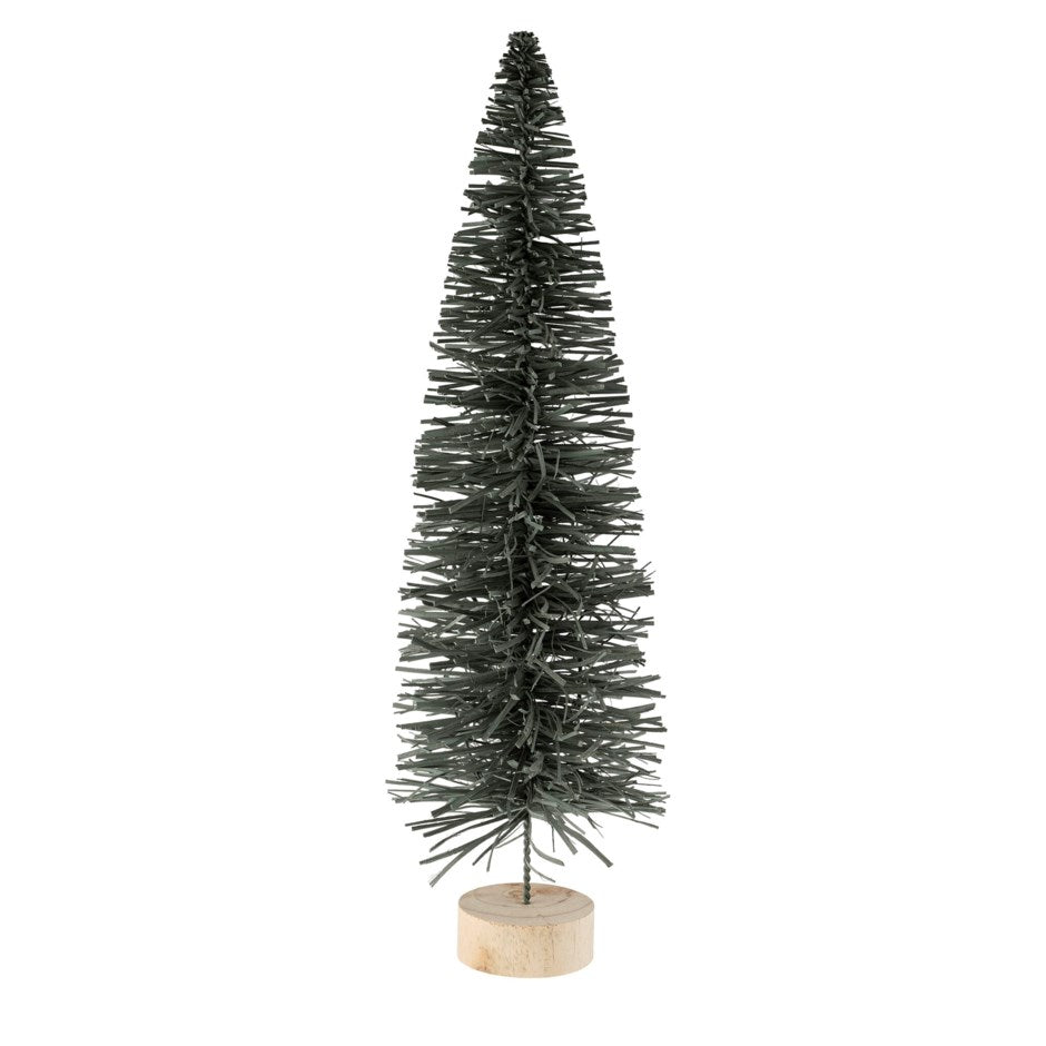 Alpine Rattan Tree