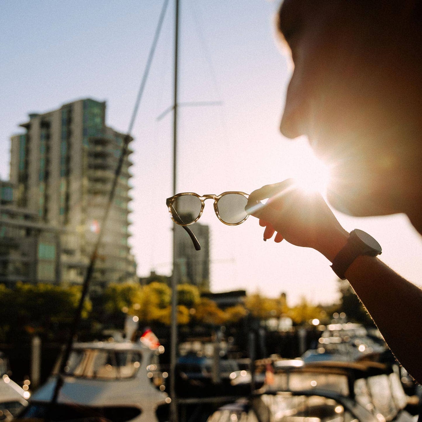 Ebony Panto Sunglasses
