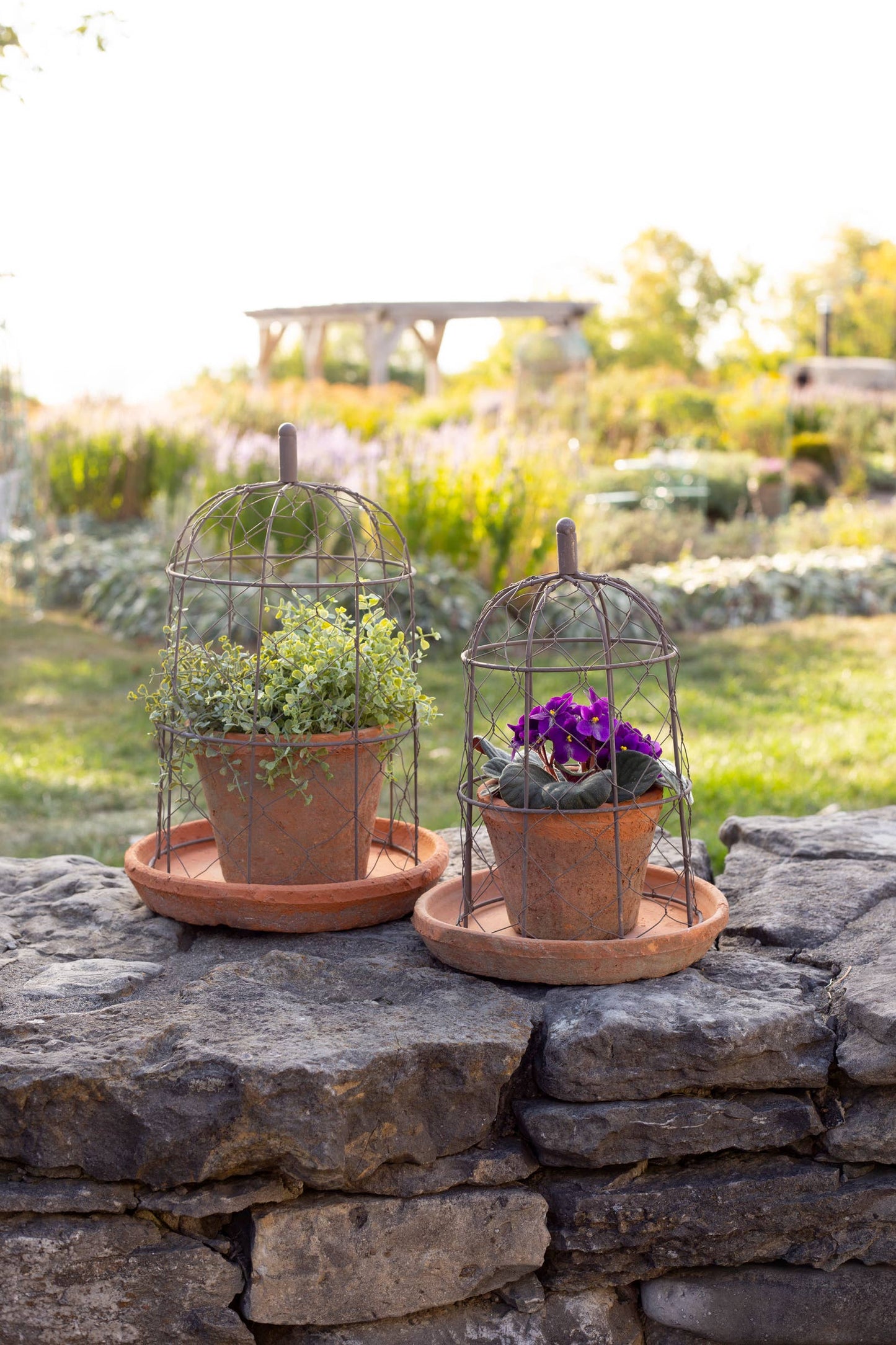 Wire Dome Garden Planter | Large