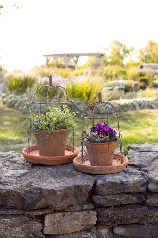 Wire Dome Garden Planter | Small