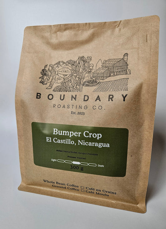 Nicaragua | Bumper Crop Coffee