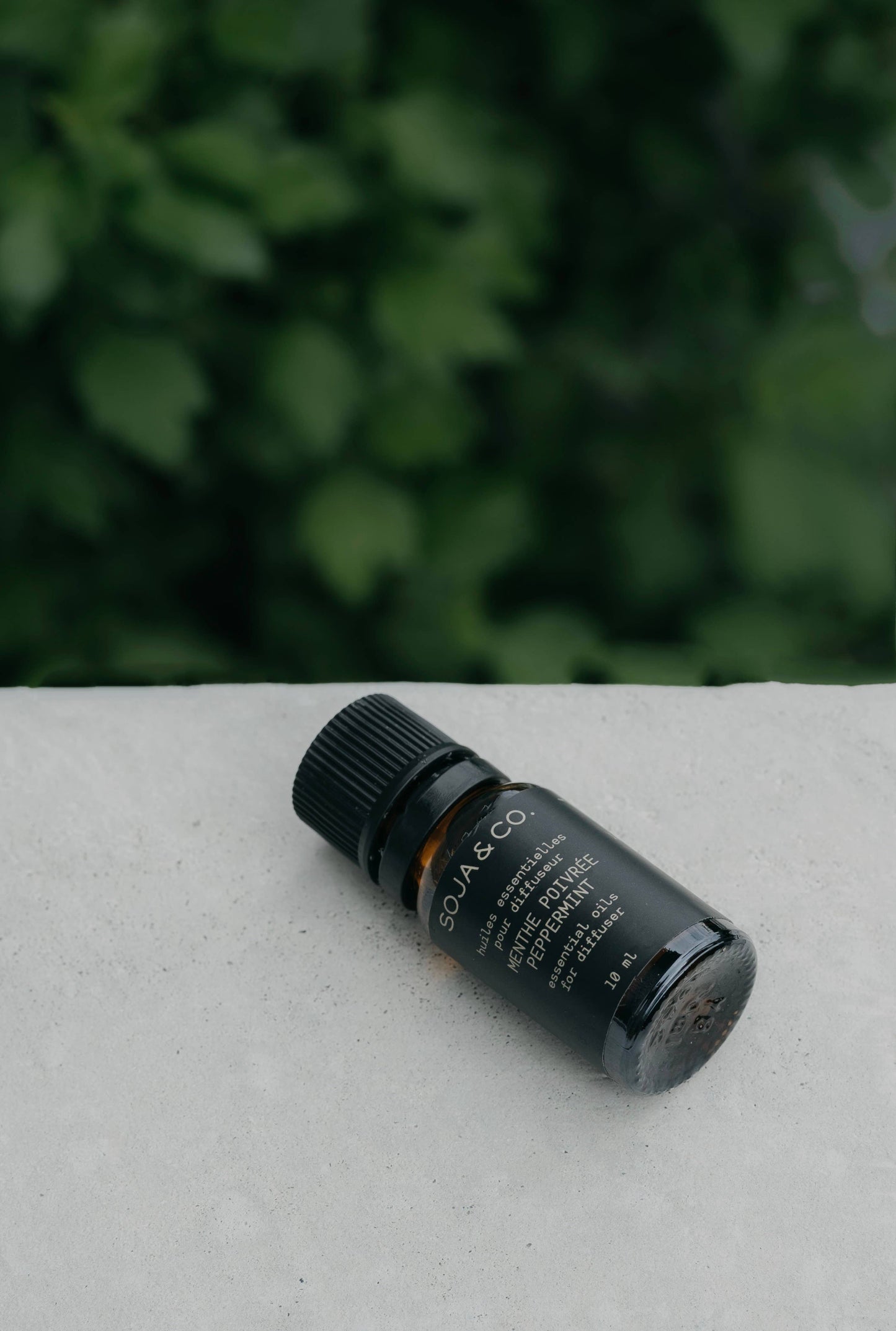 Essential Oil For Diffuser | Peppermint