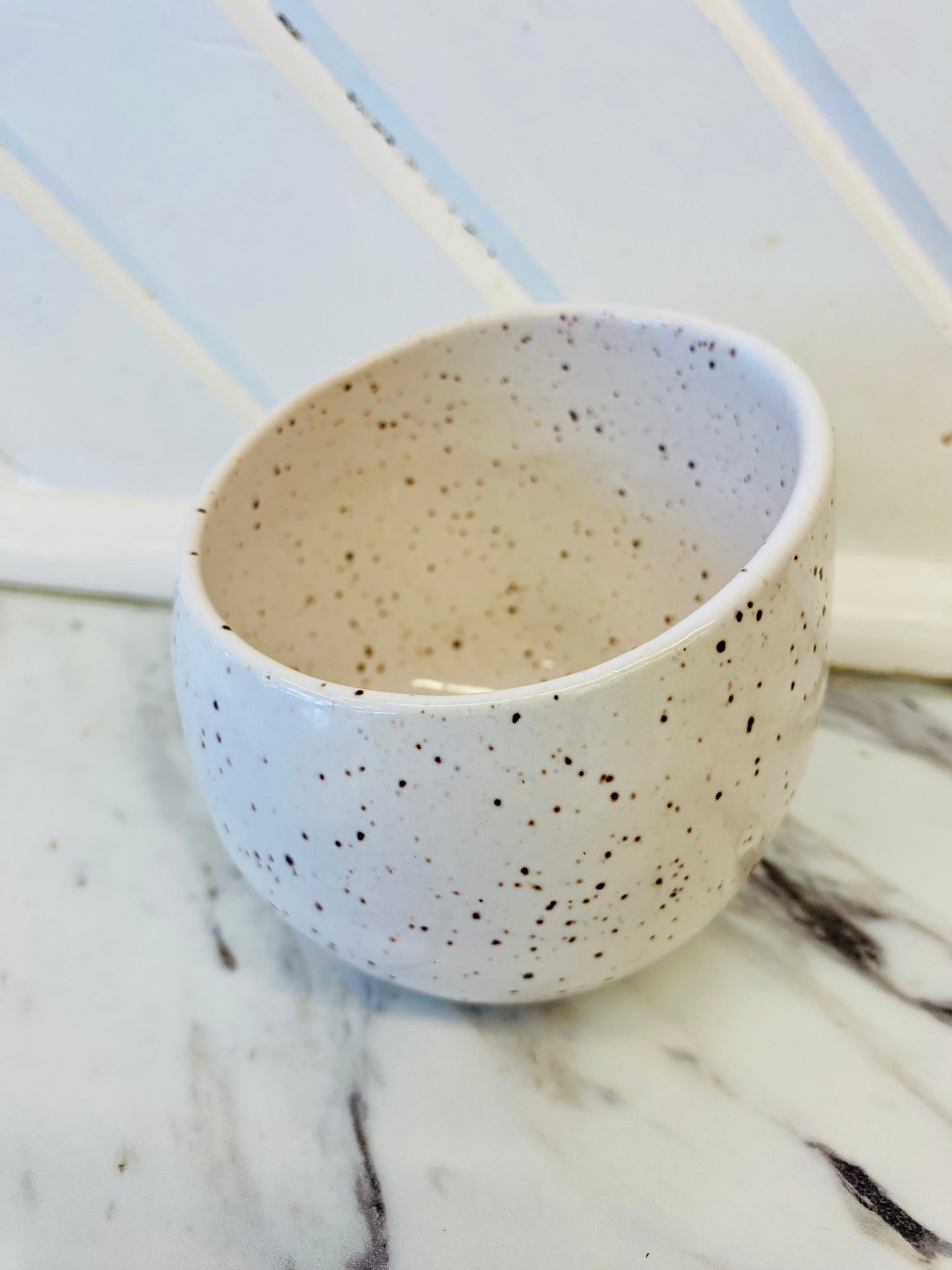 Handmade Pottery Salt Pig