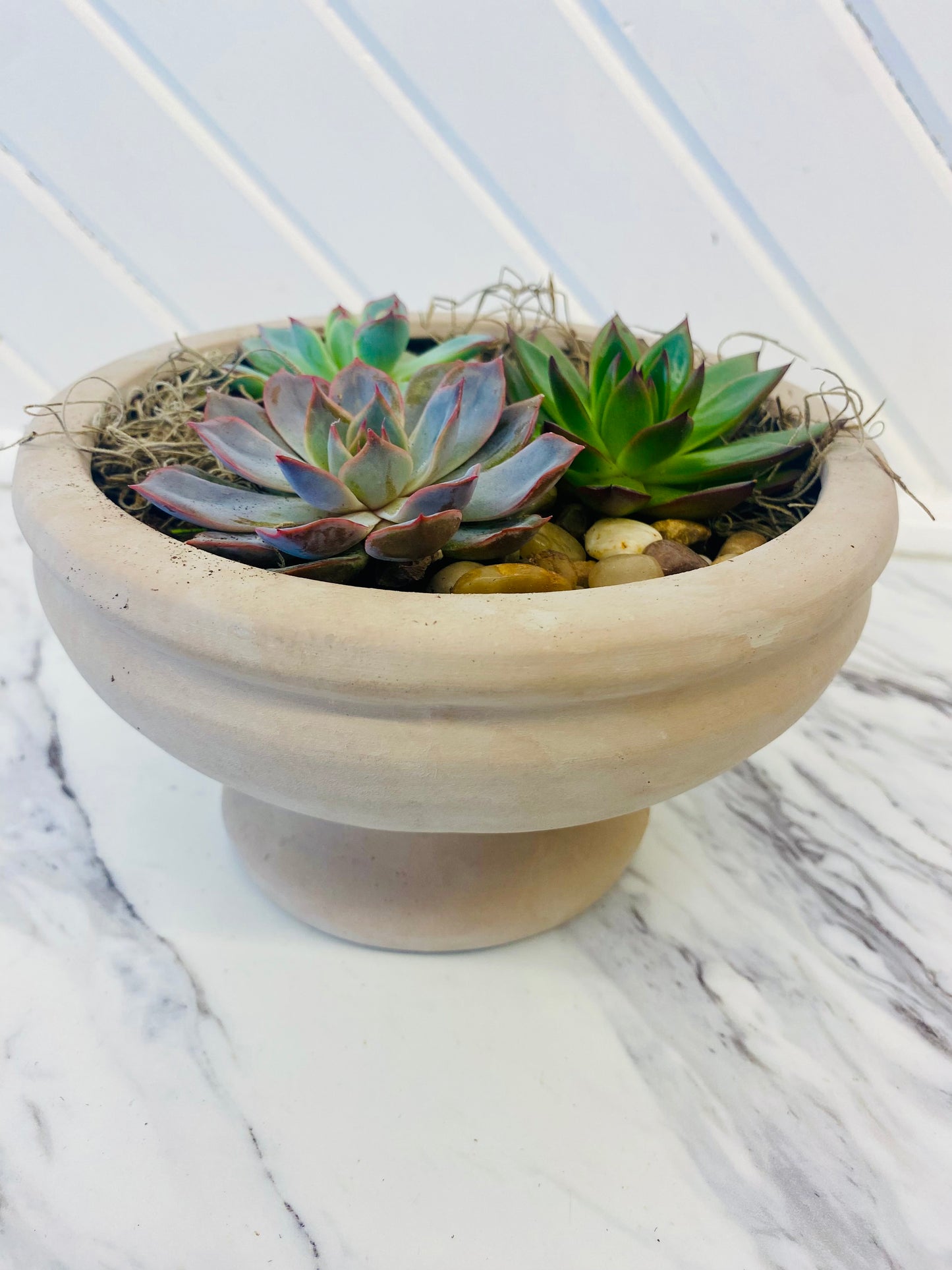 Winnie Compote