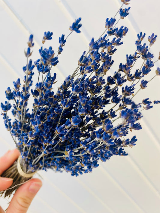 Mini Lavender Bouquet