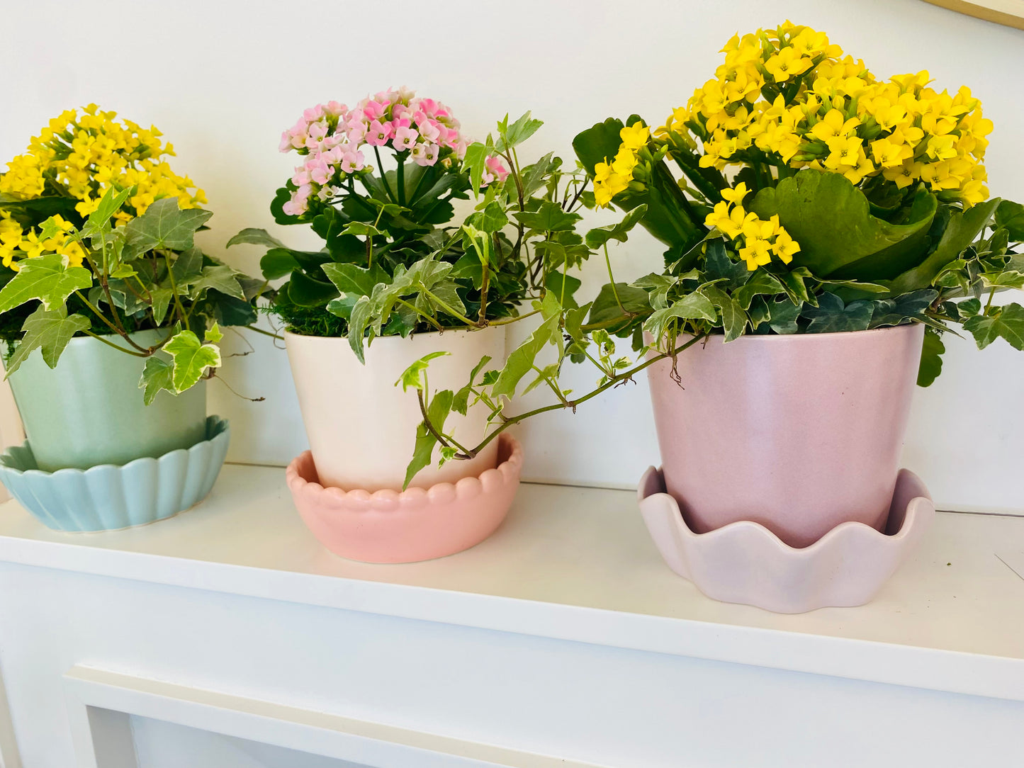 Mother's Day Plant Arrangement