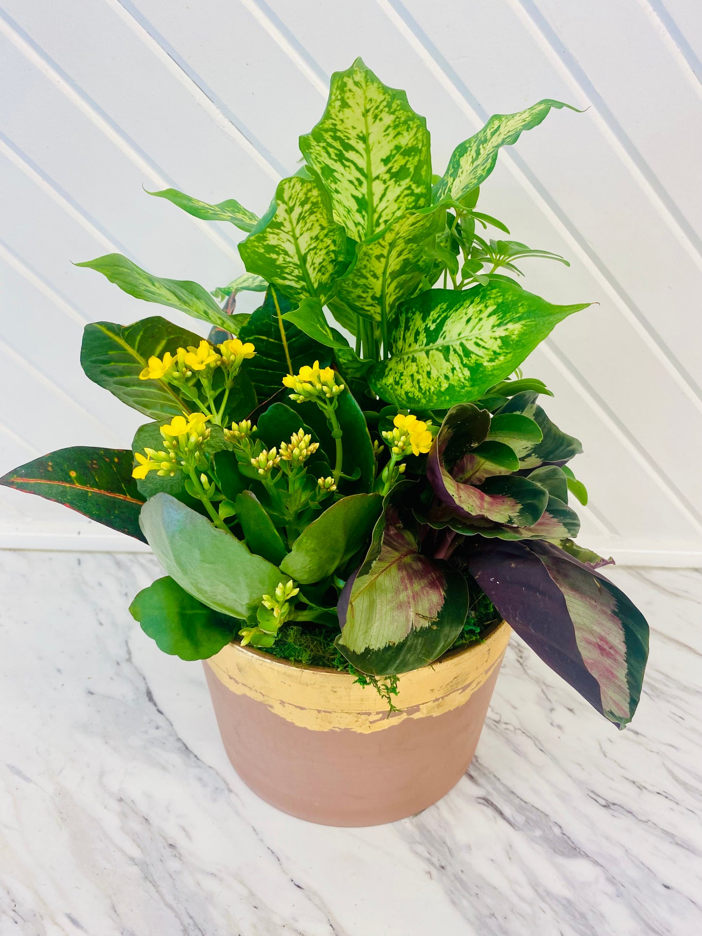 Luxe Autumn Plant Arrangement
