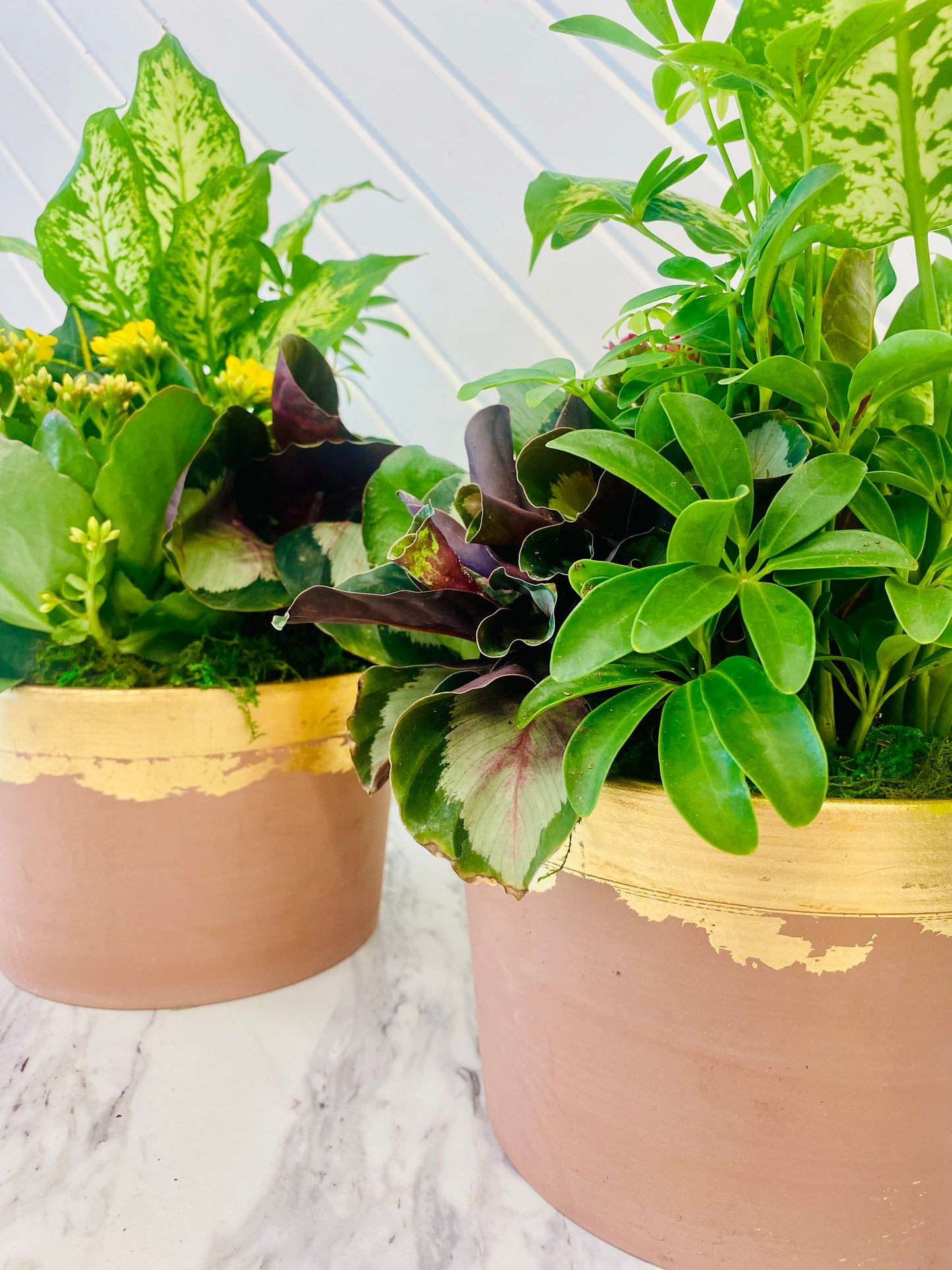 Luxe Autumn Plant Arrangement