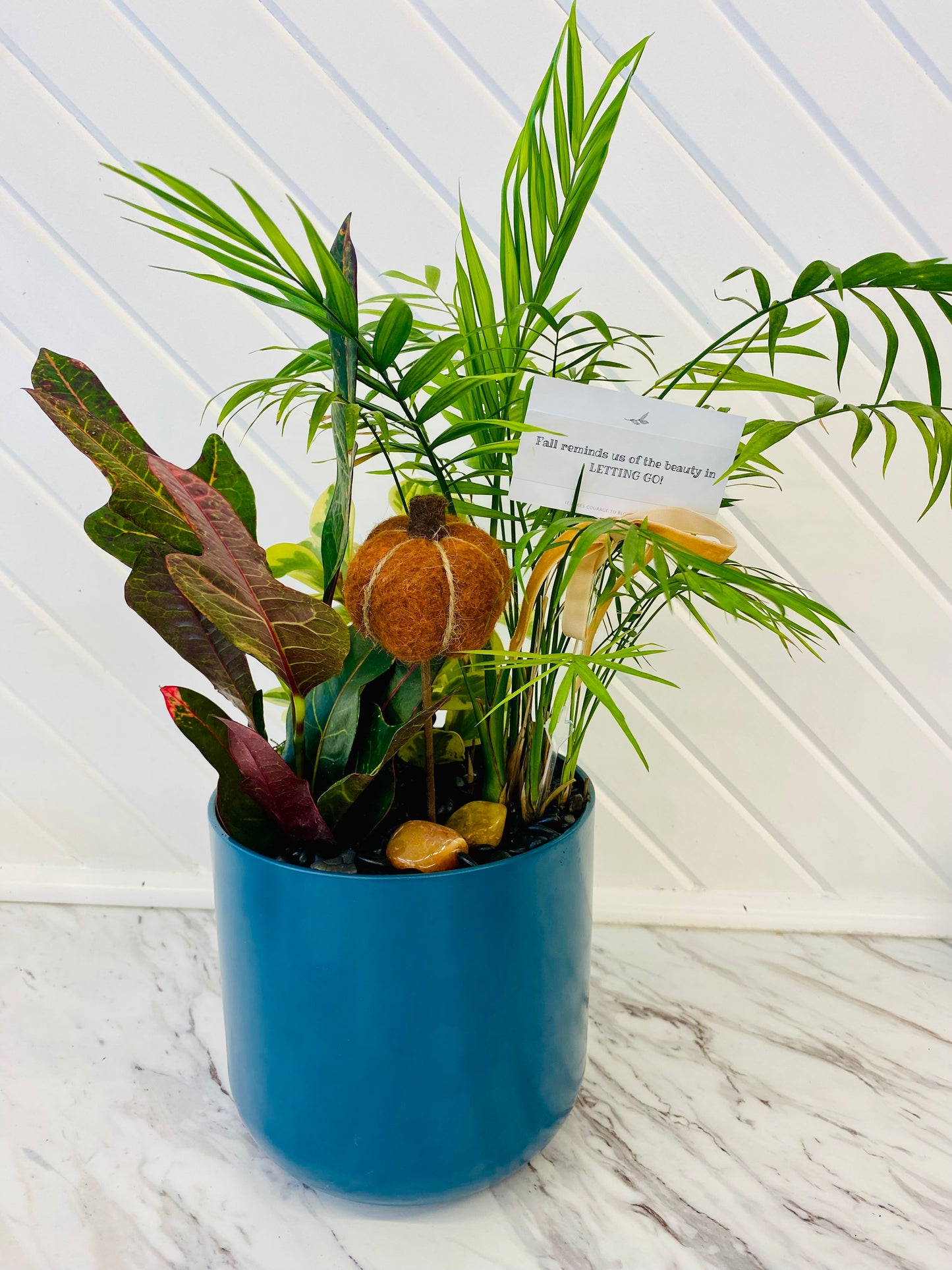 Custom Plant Arrangements
