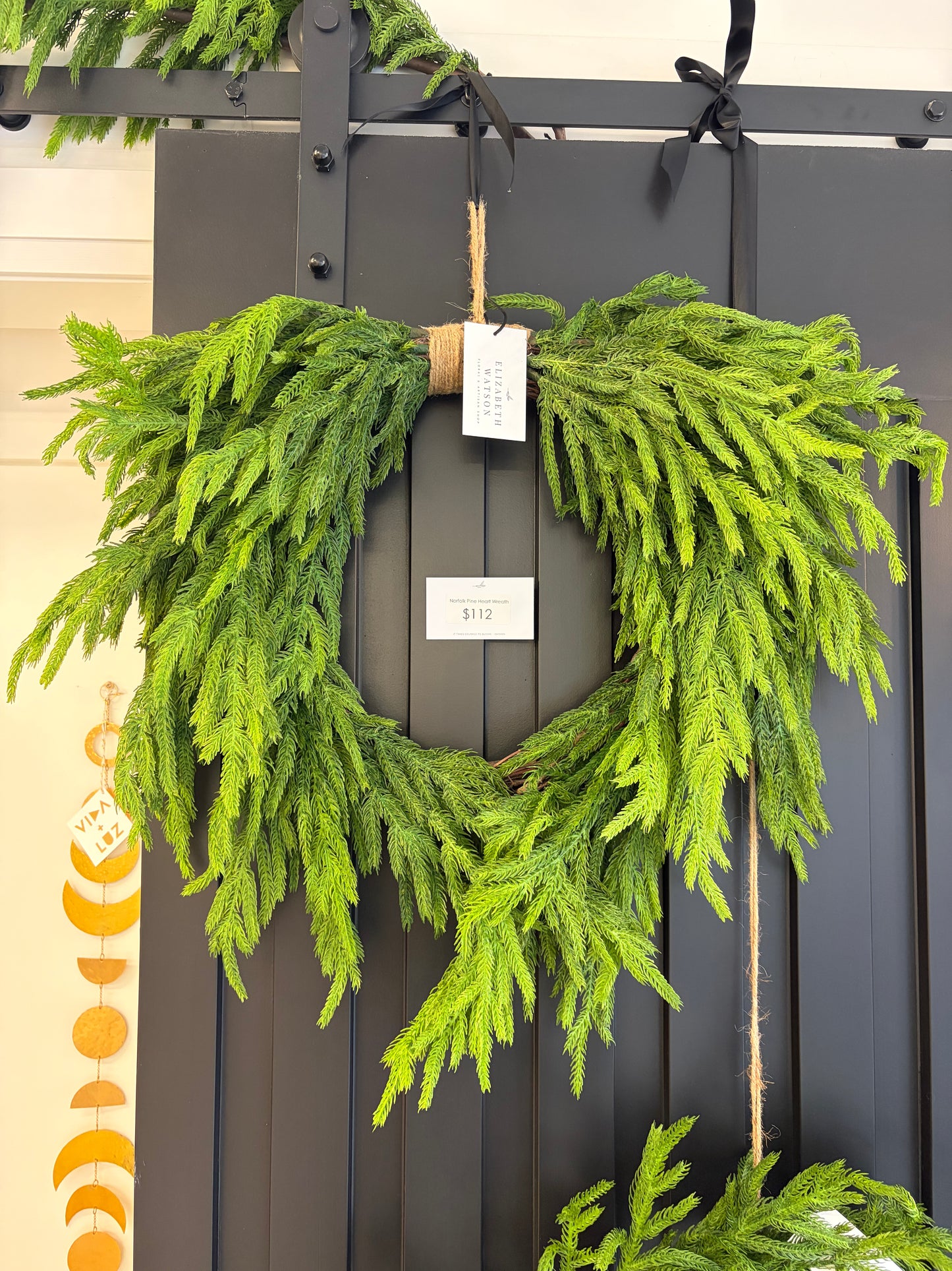 Norfolk Island Pine Wreath | 24"