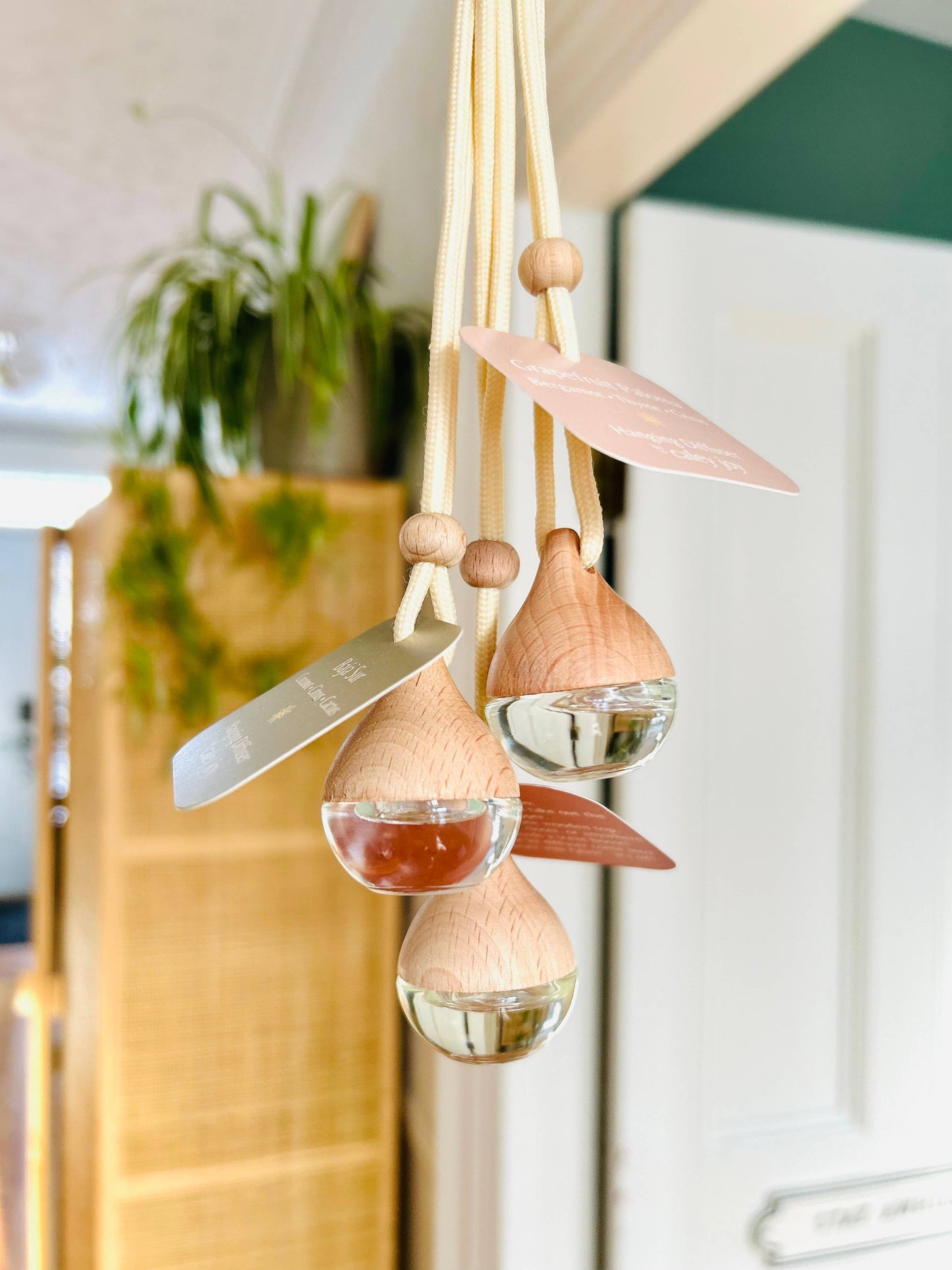 Amalfi Coast | Hanging Car Diffuser