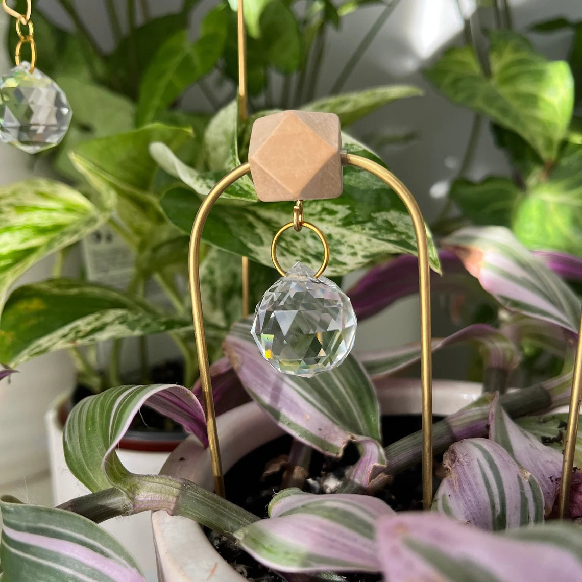 Plant Spike Suncatcher