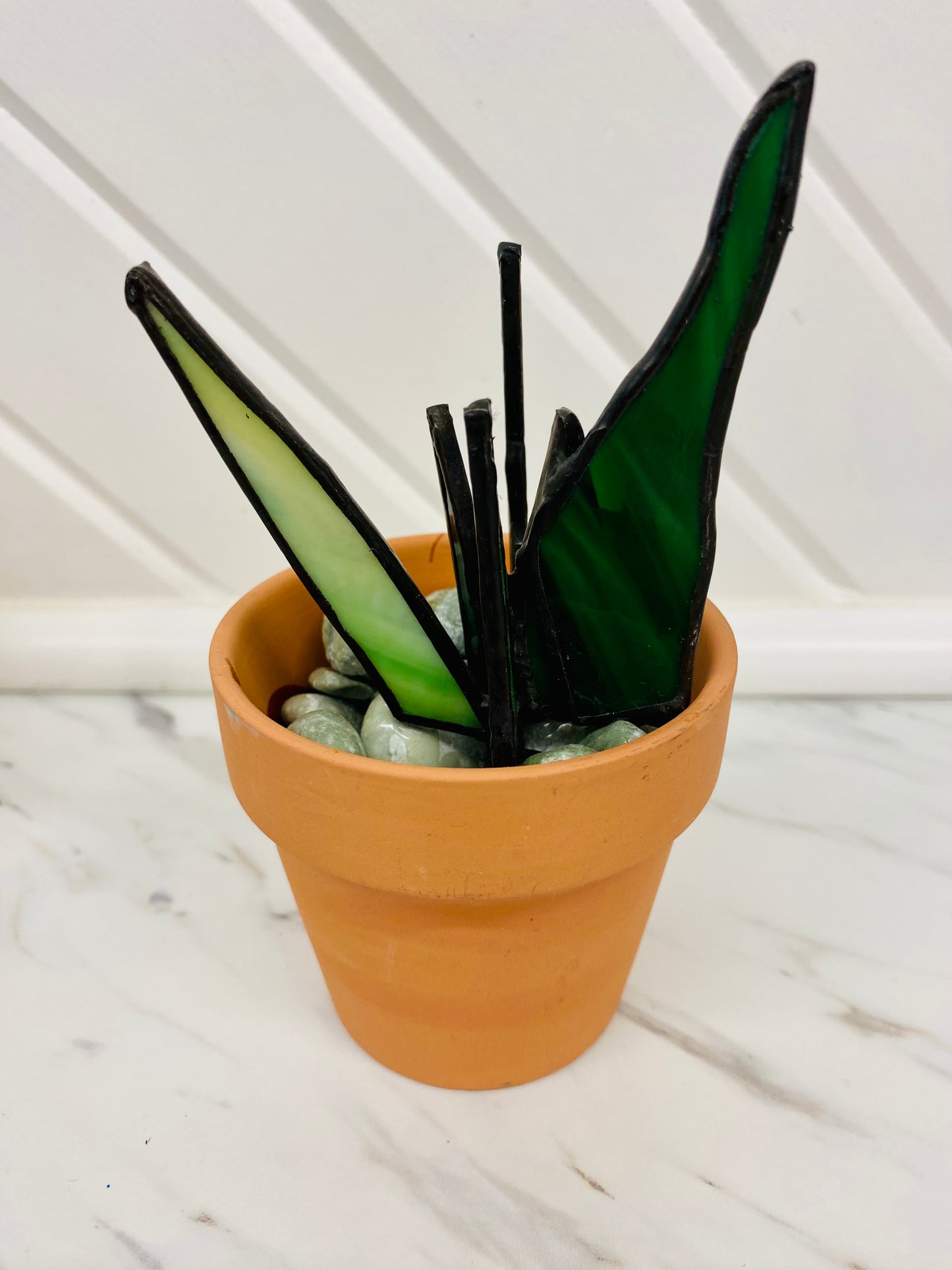 Stained Glass Cactus & Snake Plants