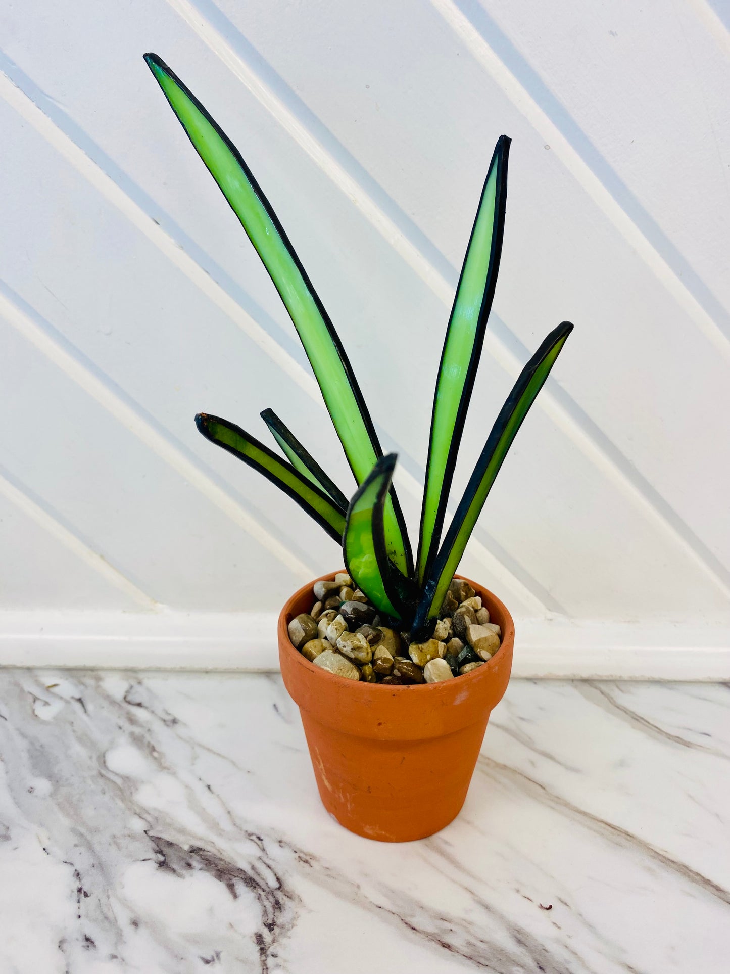 Stained Glass Cactus & Snake Plants