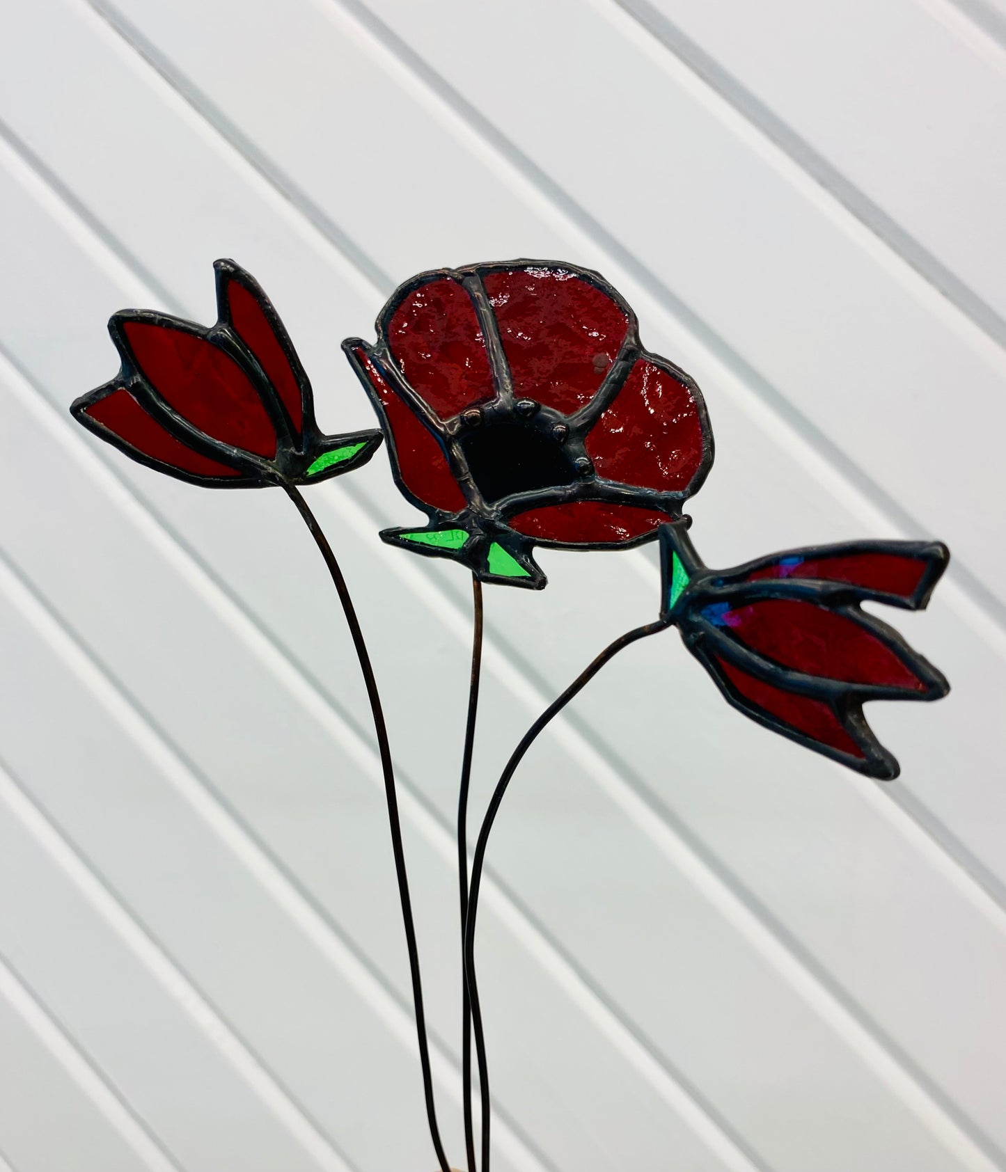 Stained Glass Poppy Set