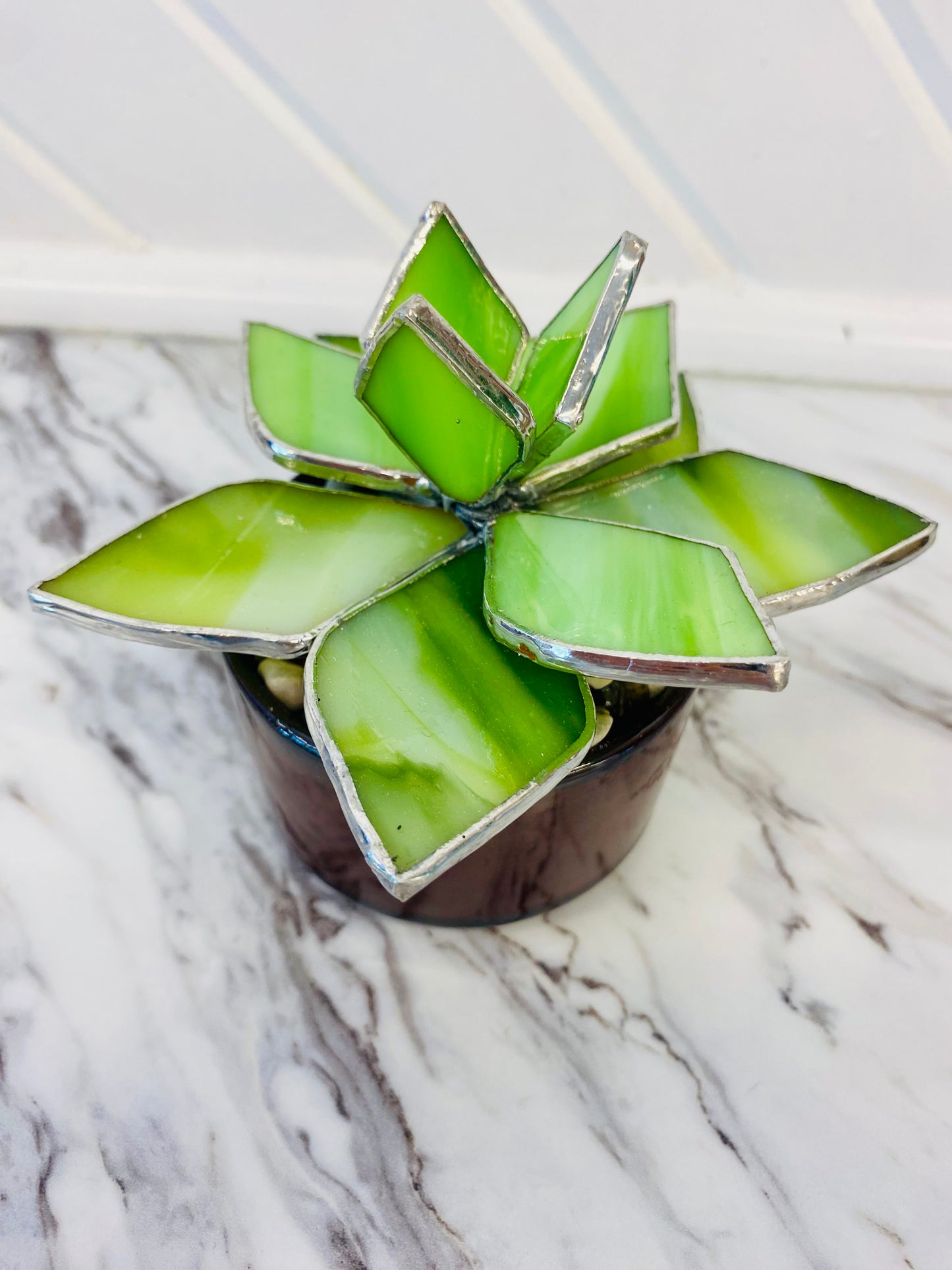 Stained Glass Succulent in Pot