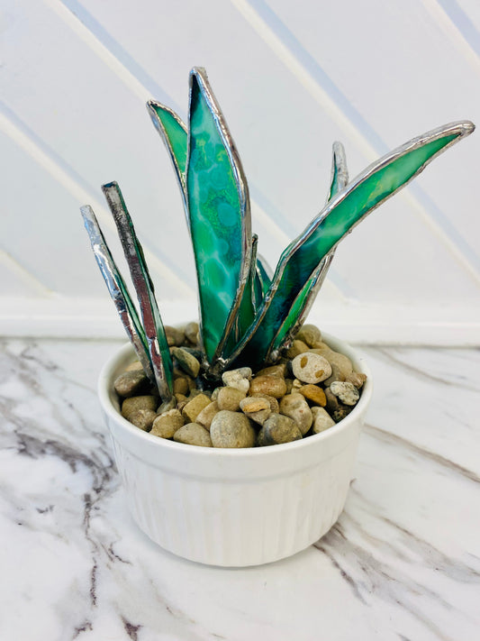 Stained Glass Cactus & Snake Plants