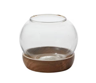 Full View Terrarium