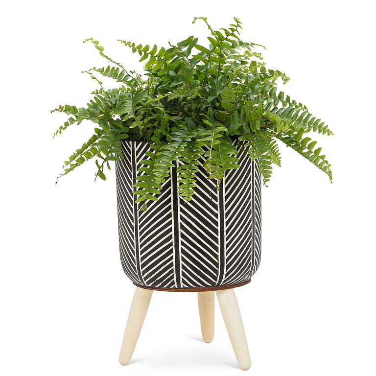 Tripod Planter