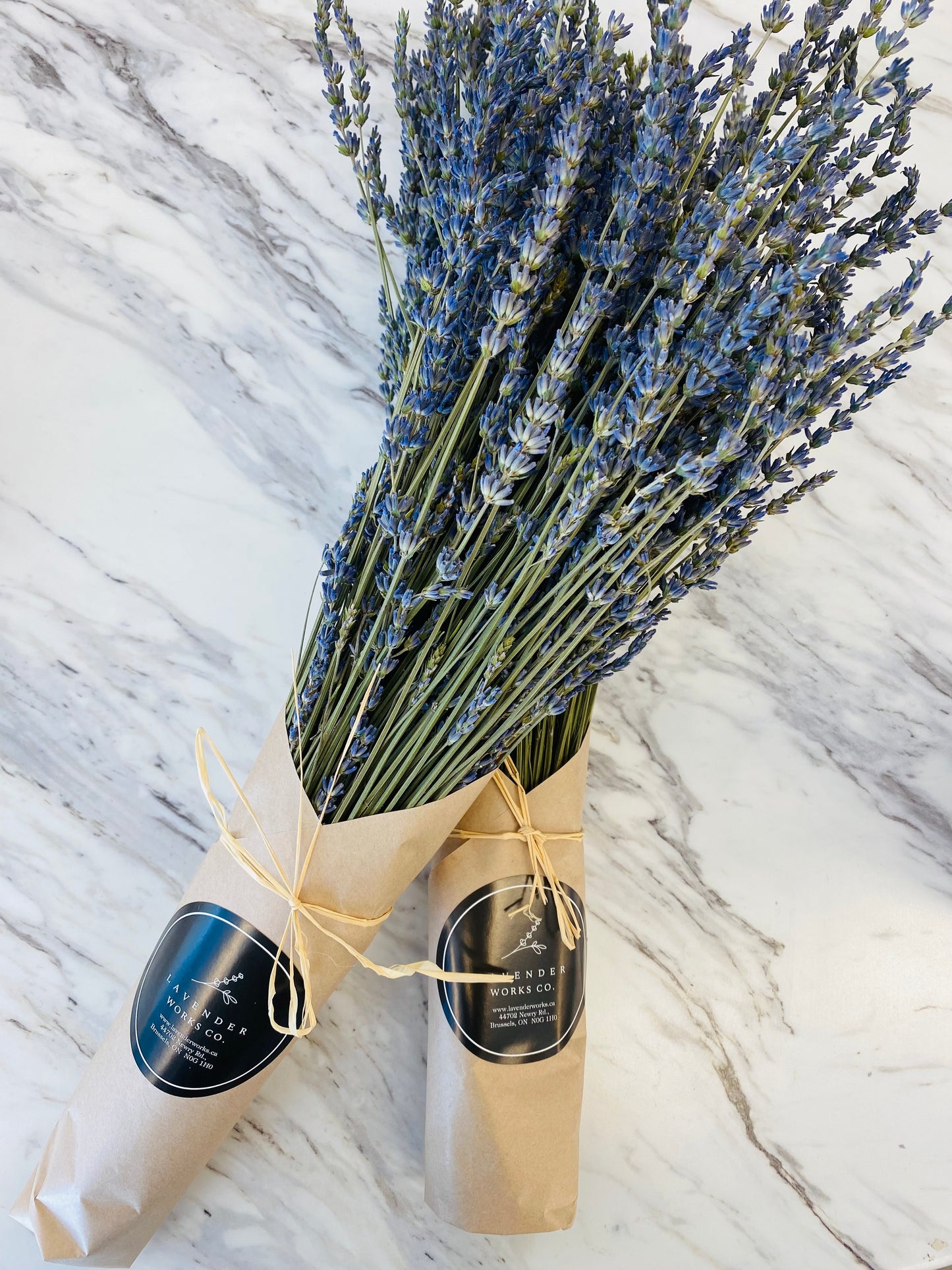Lavender Bundle
