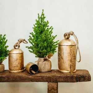 Decor & Wrapping