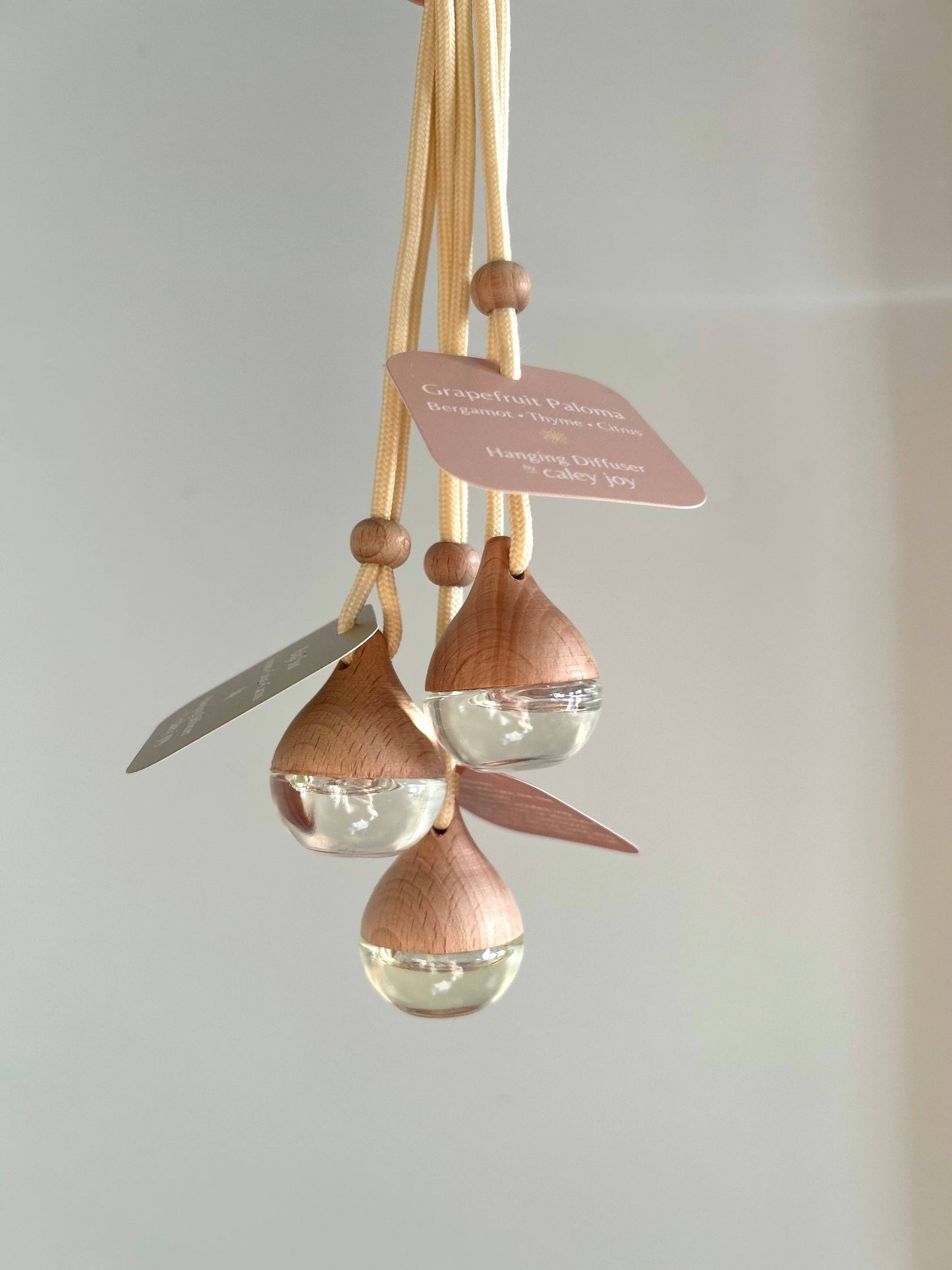 Baja Sur | Hanging Car Diffuser