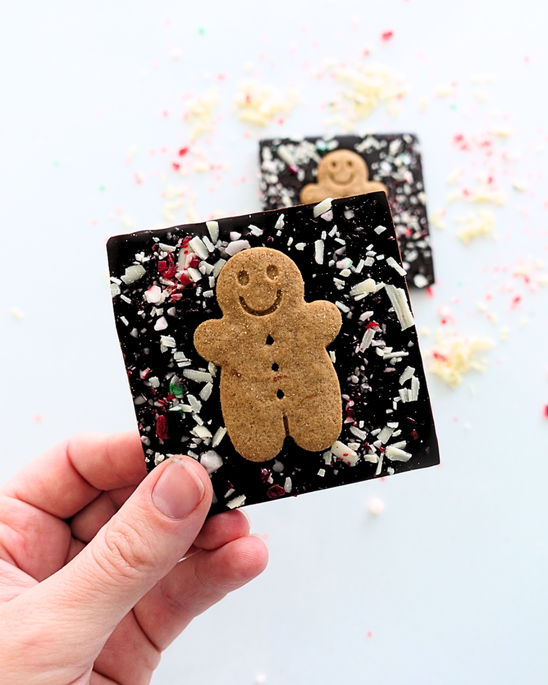 Fancy Bar | Gingerbread Frost