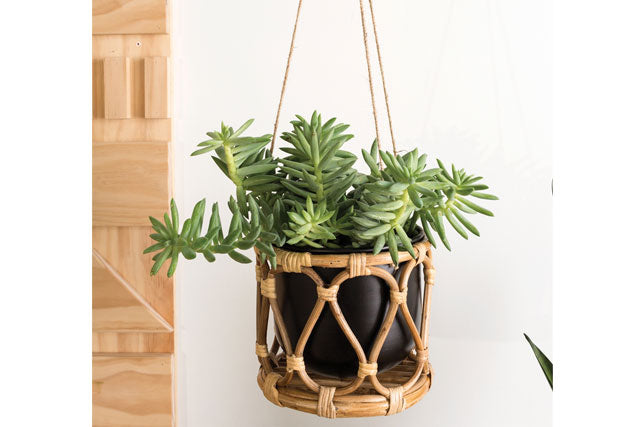 Boca Hanging Pot
