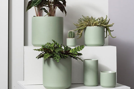 Kendall Green Planter
