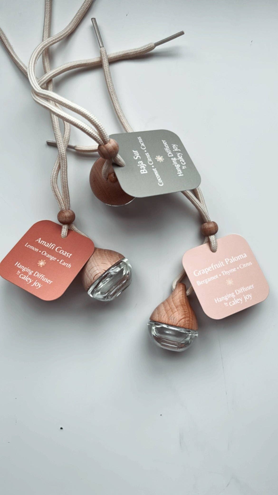 Baja Sur | Hanging Car Diffuser