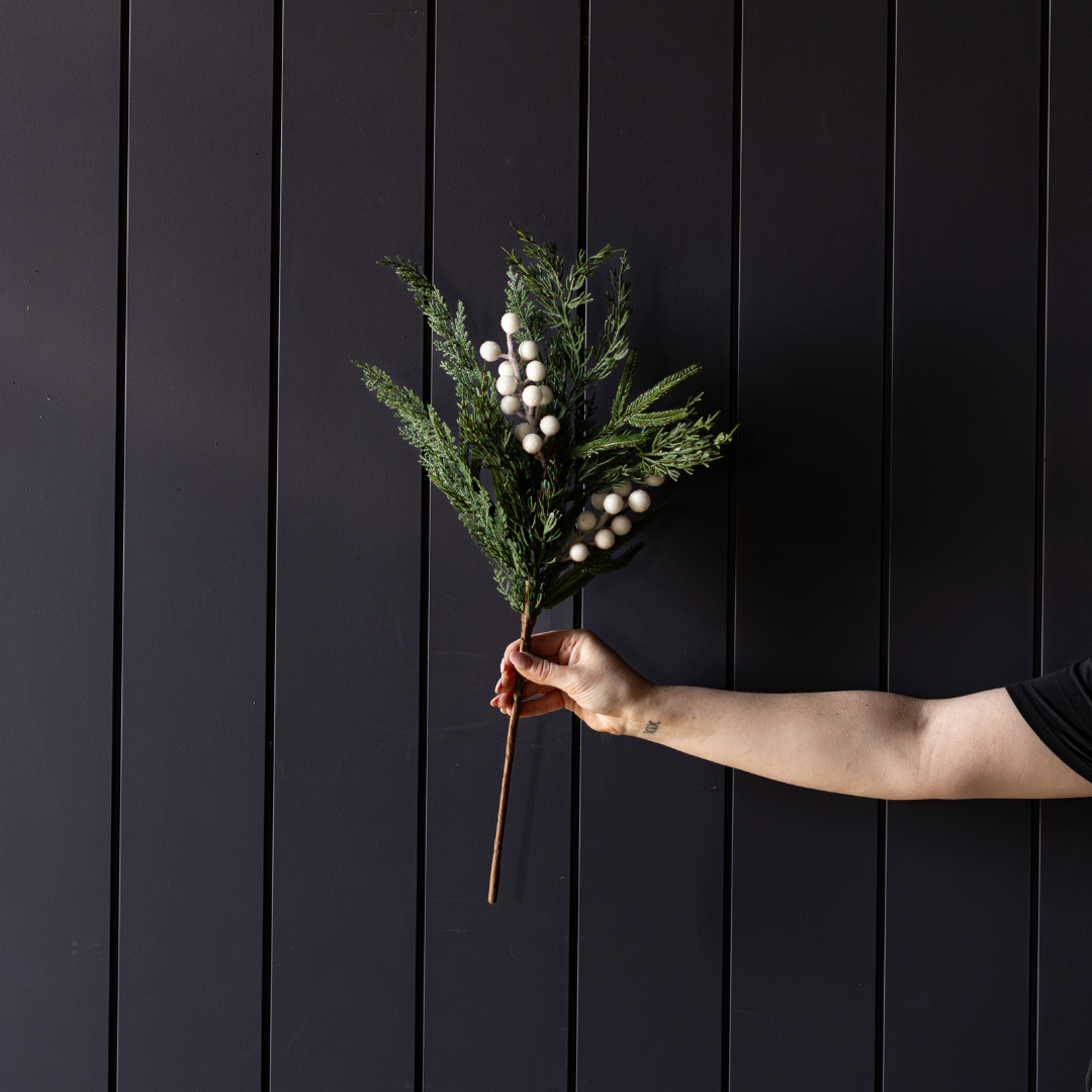 White Berry Cypress Stem