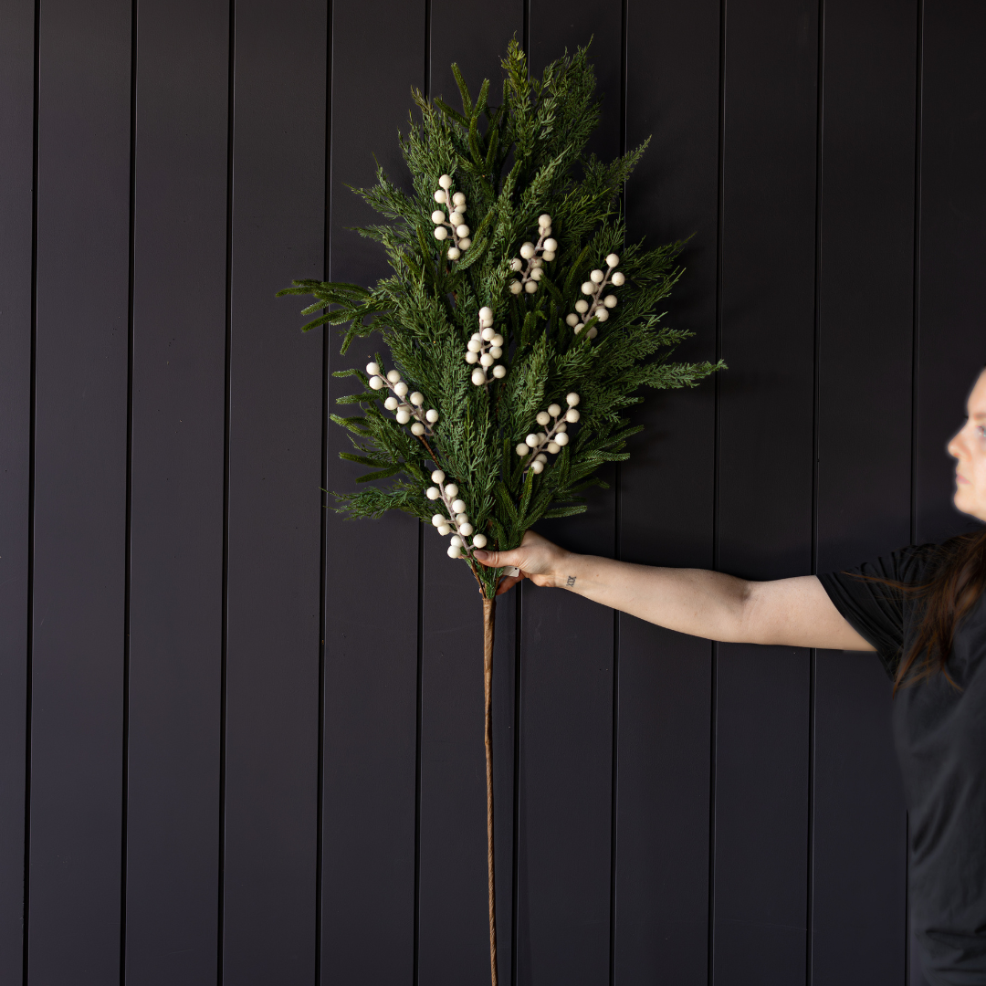 White Berry Cypress Stem