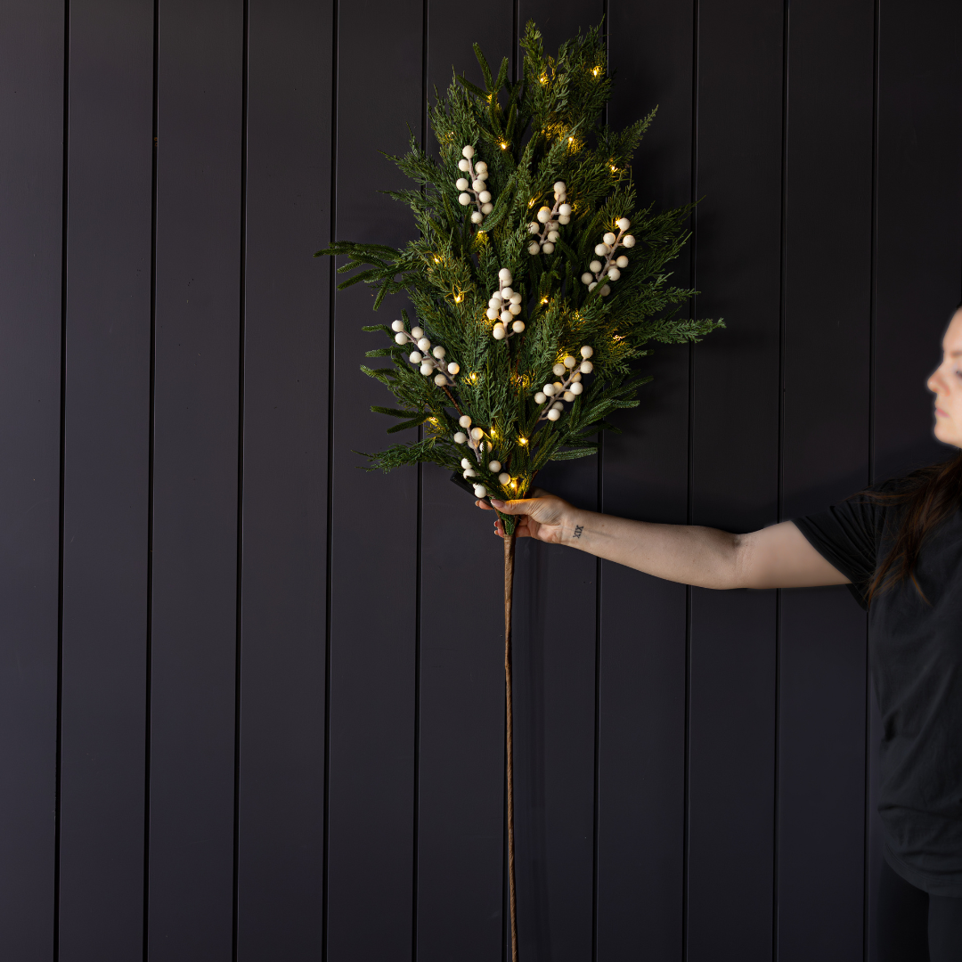 White Berry Cypress Stem