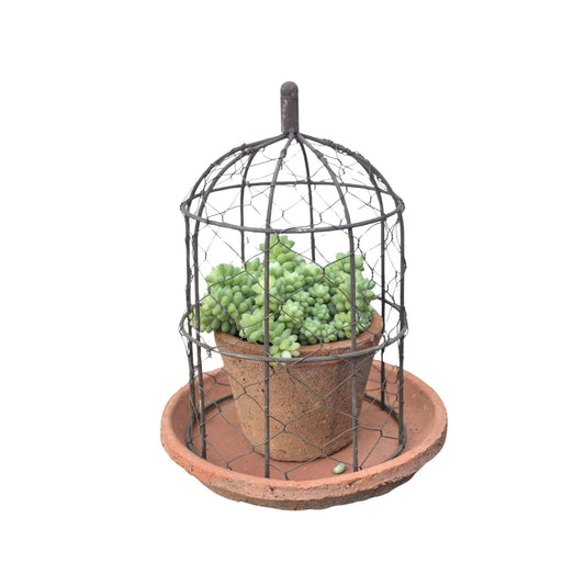 Wire Dome Garden Planter | Large