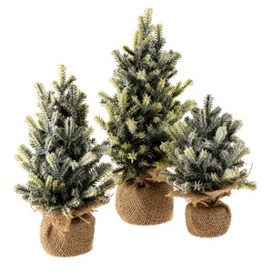 Tabletop Frosted Pine