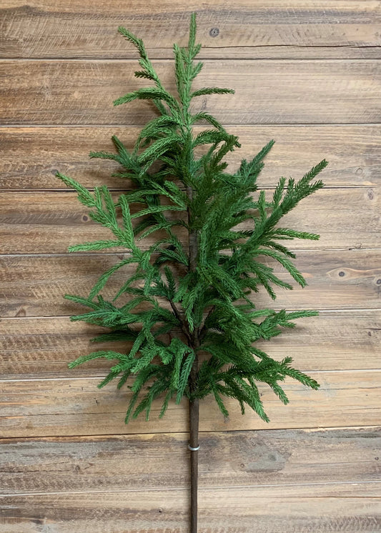 Fresh Touch Norfolk Pine Branch