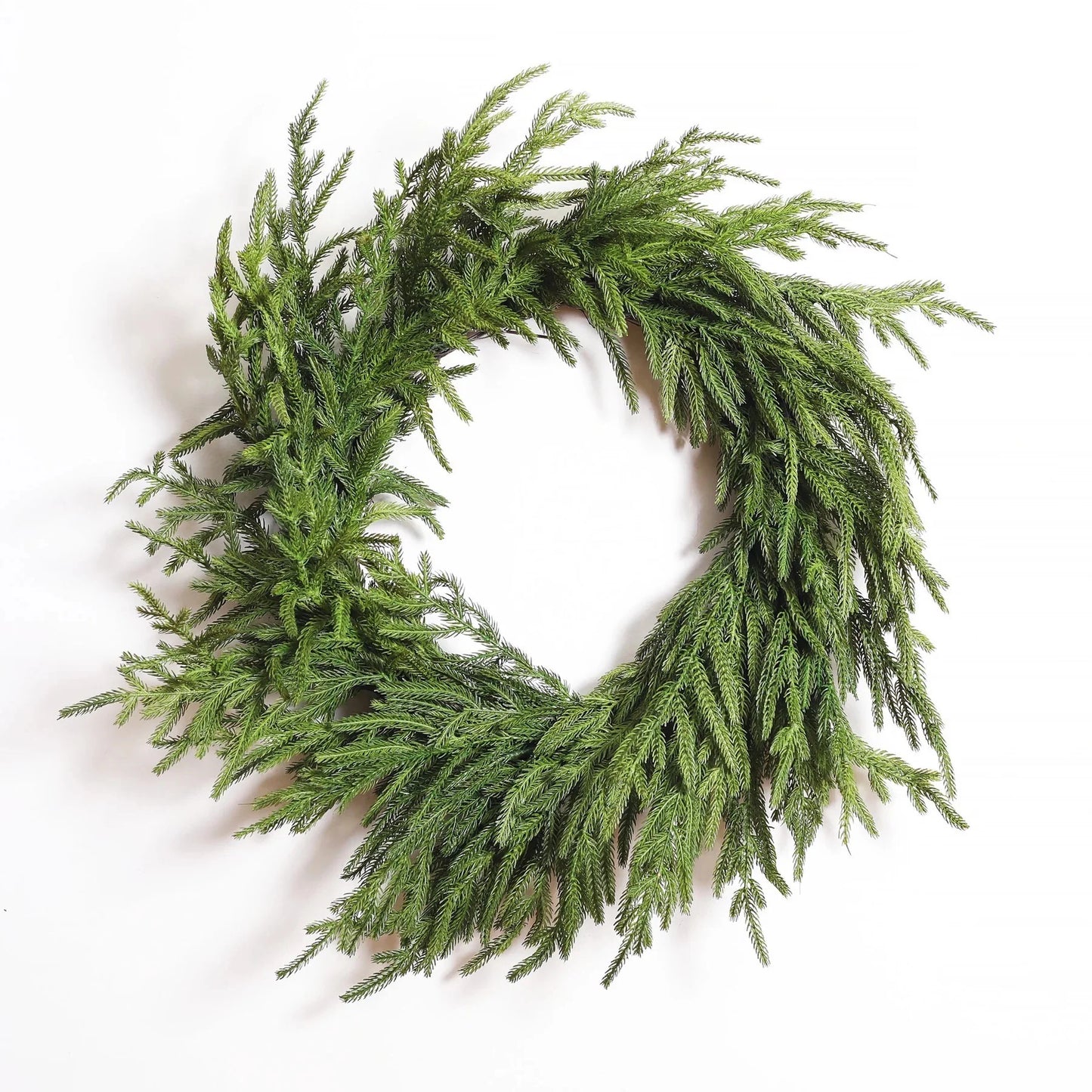 Fresh Touch Norfolk Pine Wreath | 22"