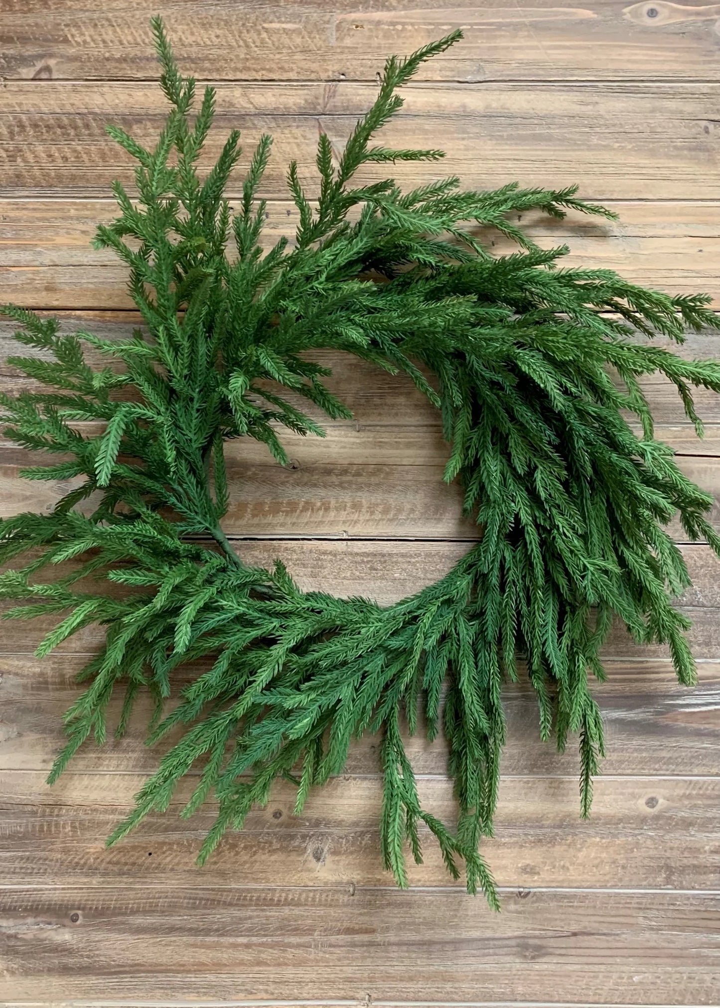 Fresh Touch Norfolk Pine Wreath | 22"